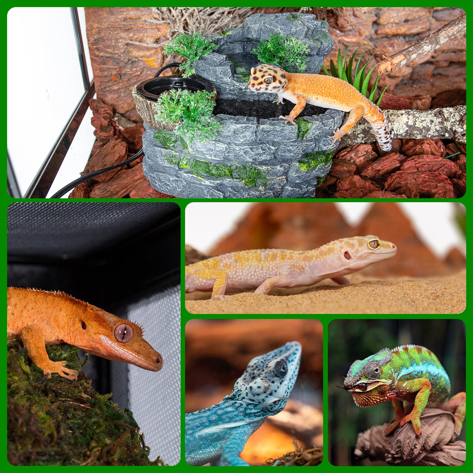 SUKEOPET 500ml reservoir supports steady hydration for reptiles.