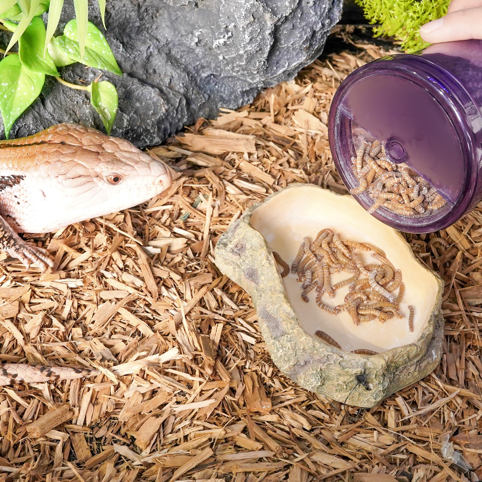 SUKEOPET portable design fits bags for travel and outdoor feeding