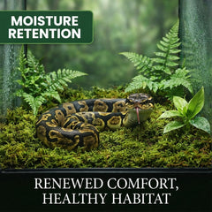 Sukh sphagnum moss helps maintain humidity in tropical enclosures