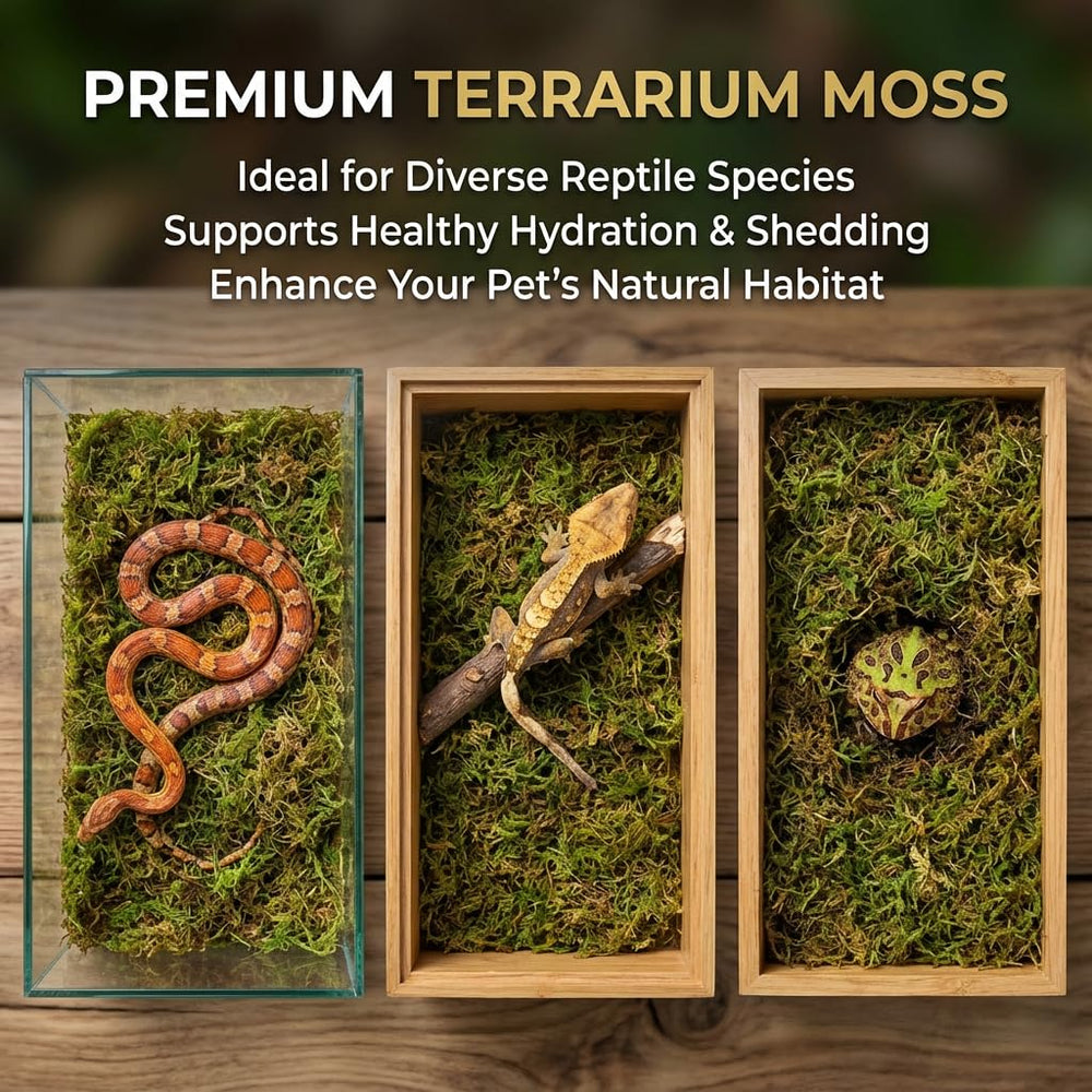 Sukh sphagnum moss supports egg laying and incubation with humidity