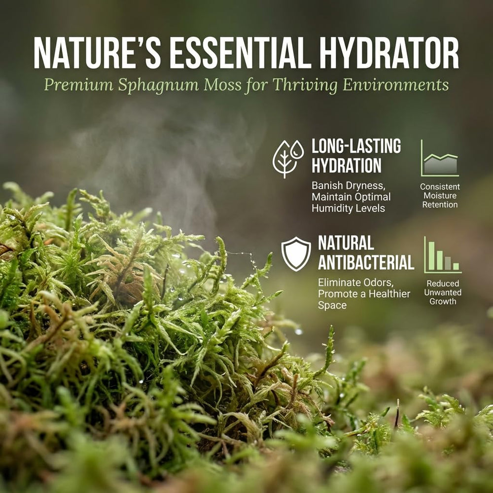 Sukh Sphagnum Moss is easy to maintain.