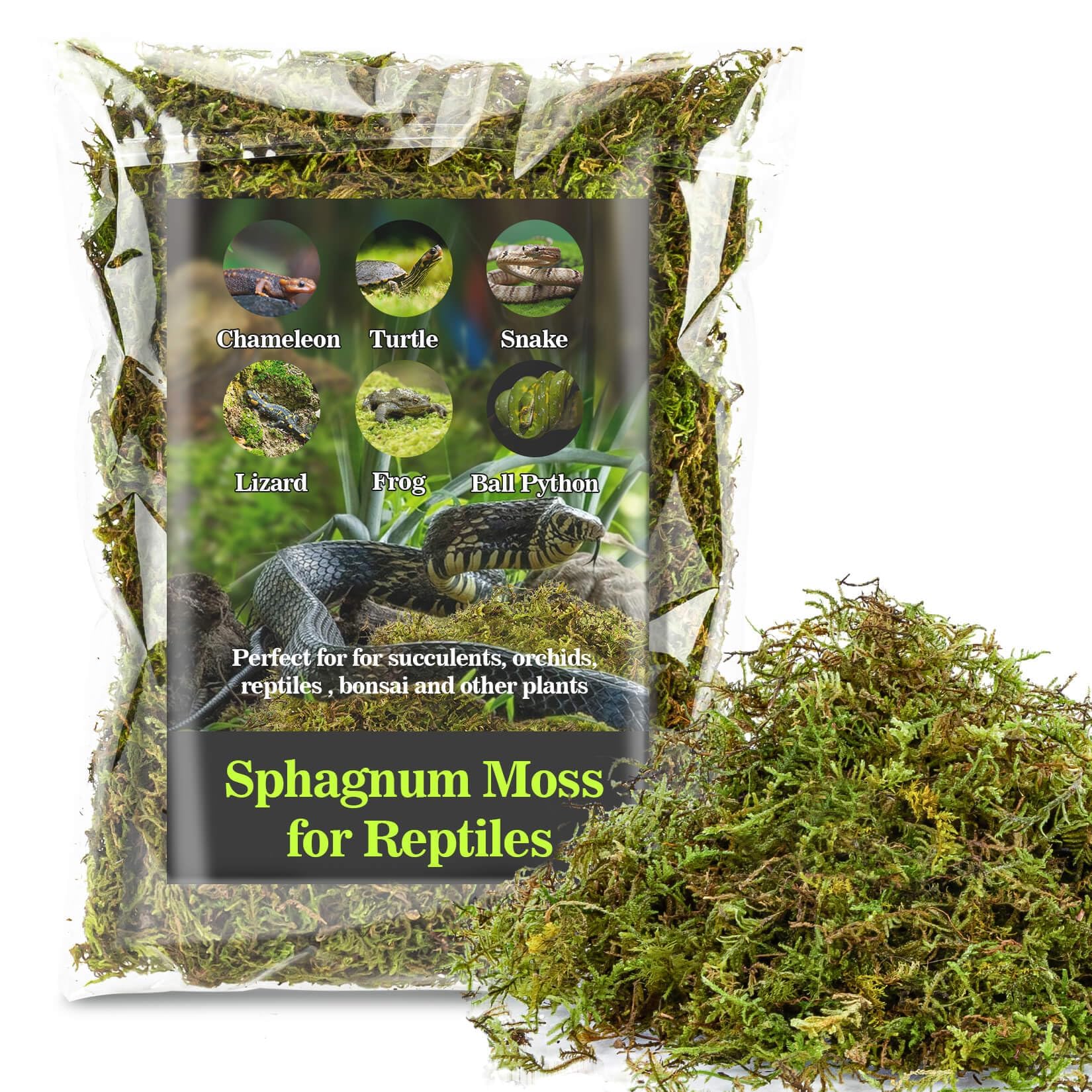Sukh sphagnum moss used as reptile bedding offering moisture retention and natural comfort