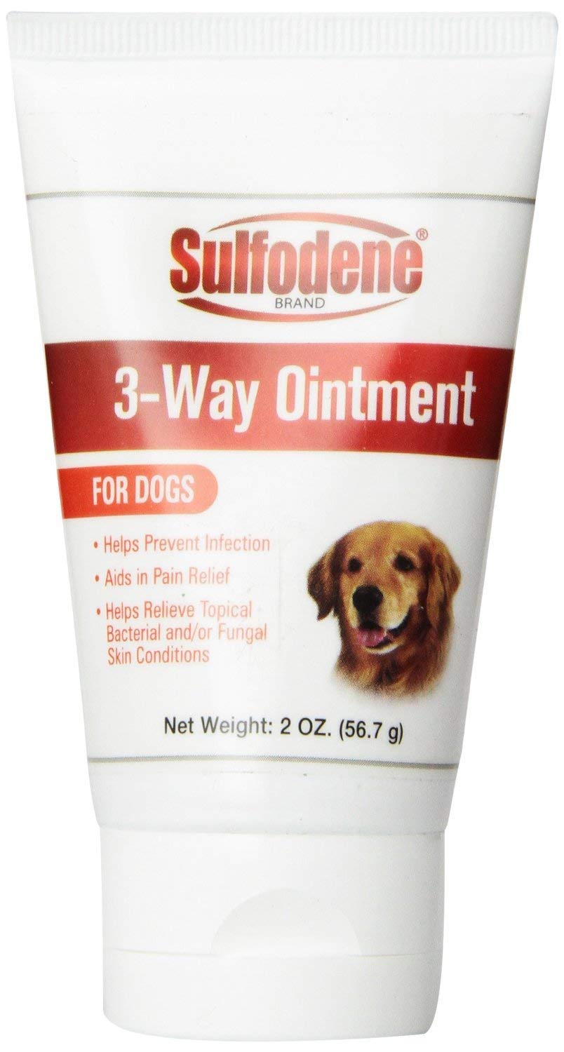 Sulfodene 3-Way Ointment application on dog skin reduces irritation
