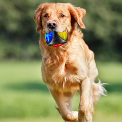 Sumind smooth colorful dog ball is easy to clean and rolls smoothly.