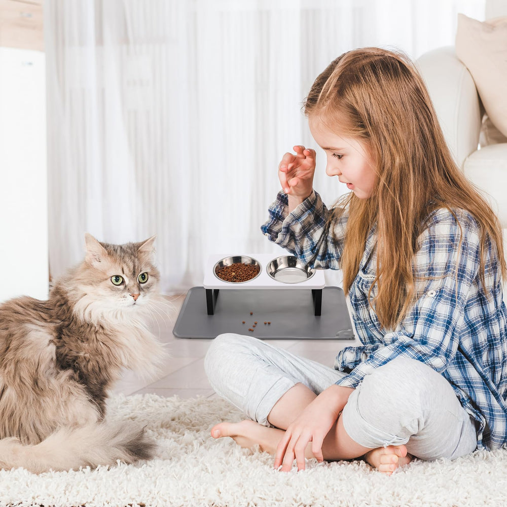Summark raised design enhances mealtime for cats and puppies