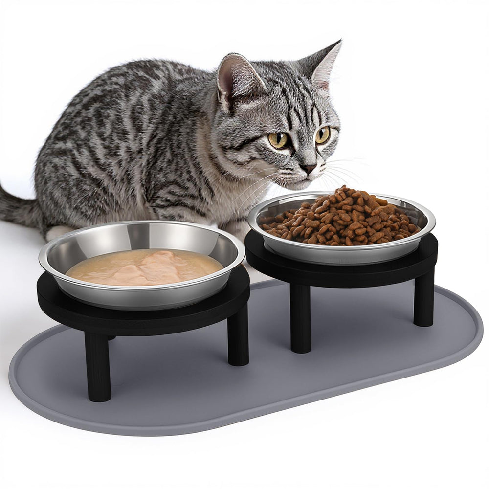Summark elevated cat bowls in black setup for whisker-friendly dining.