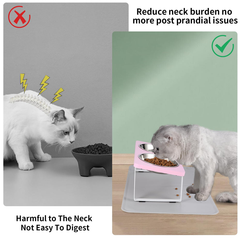 Summark pink elevated bowls with silicone mat prevent spills and keep floors clean.
