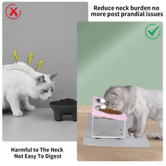 Summark pink elevated bowls with silicone mat prevent spills and keep floors clean.