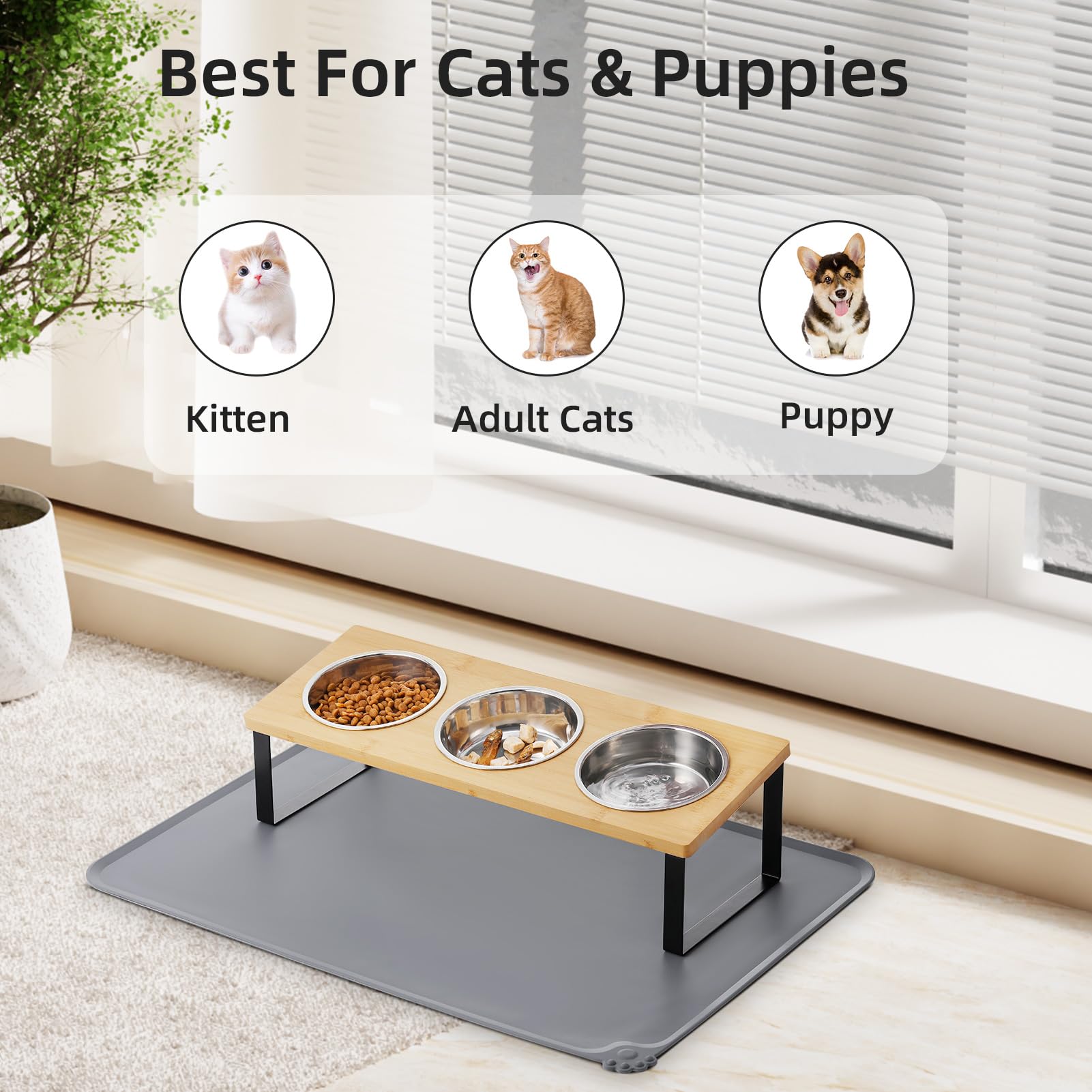 Summark elevated design supports kittens and puppies during meals.