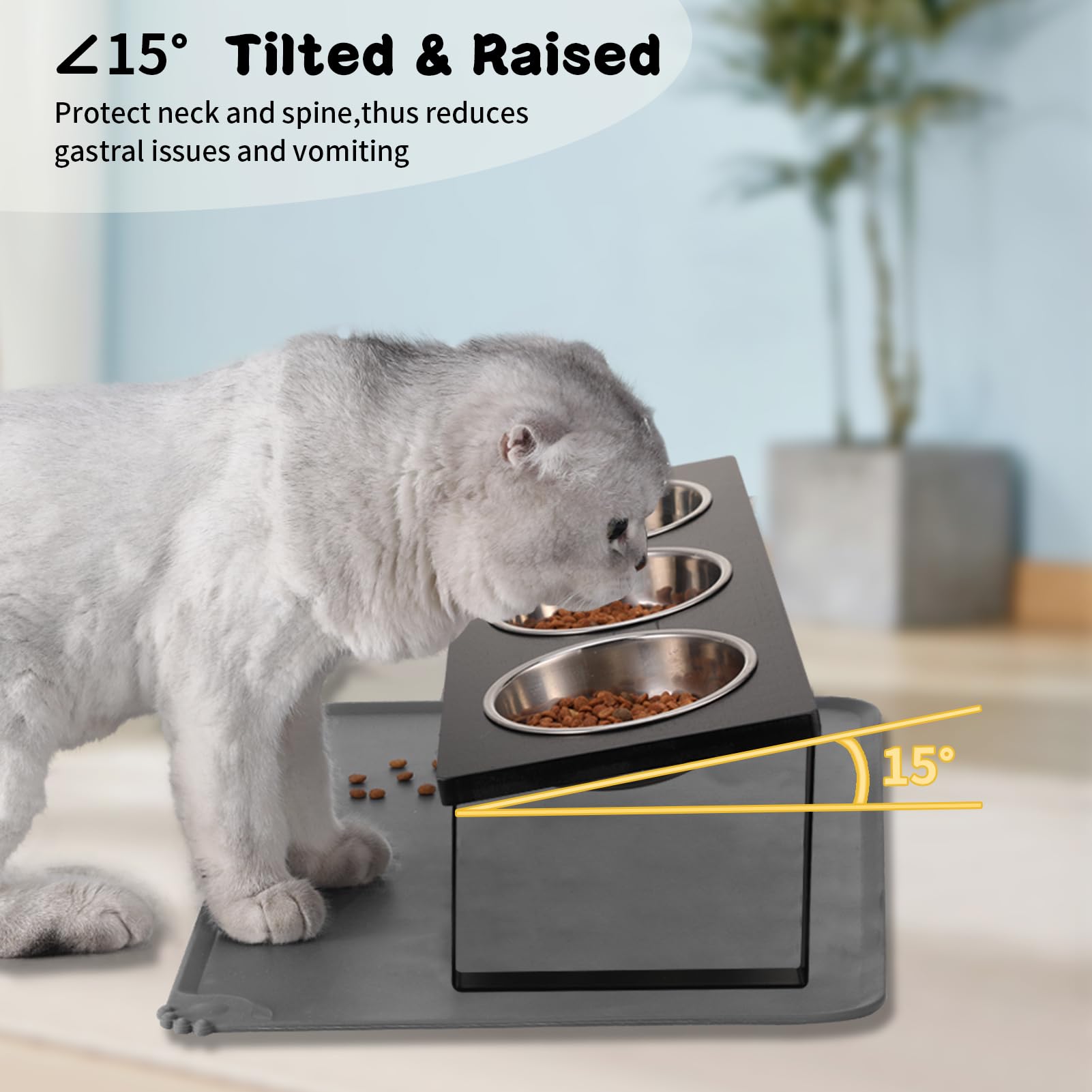 Summark natural wood base provides stable, durable support for bowls