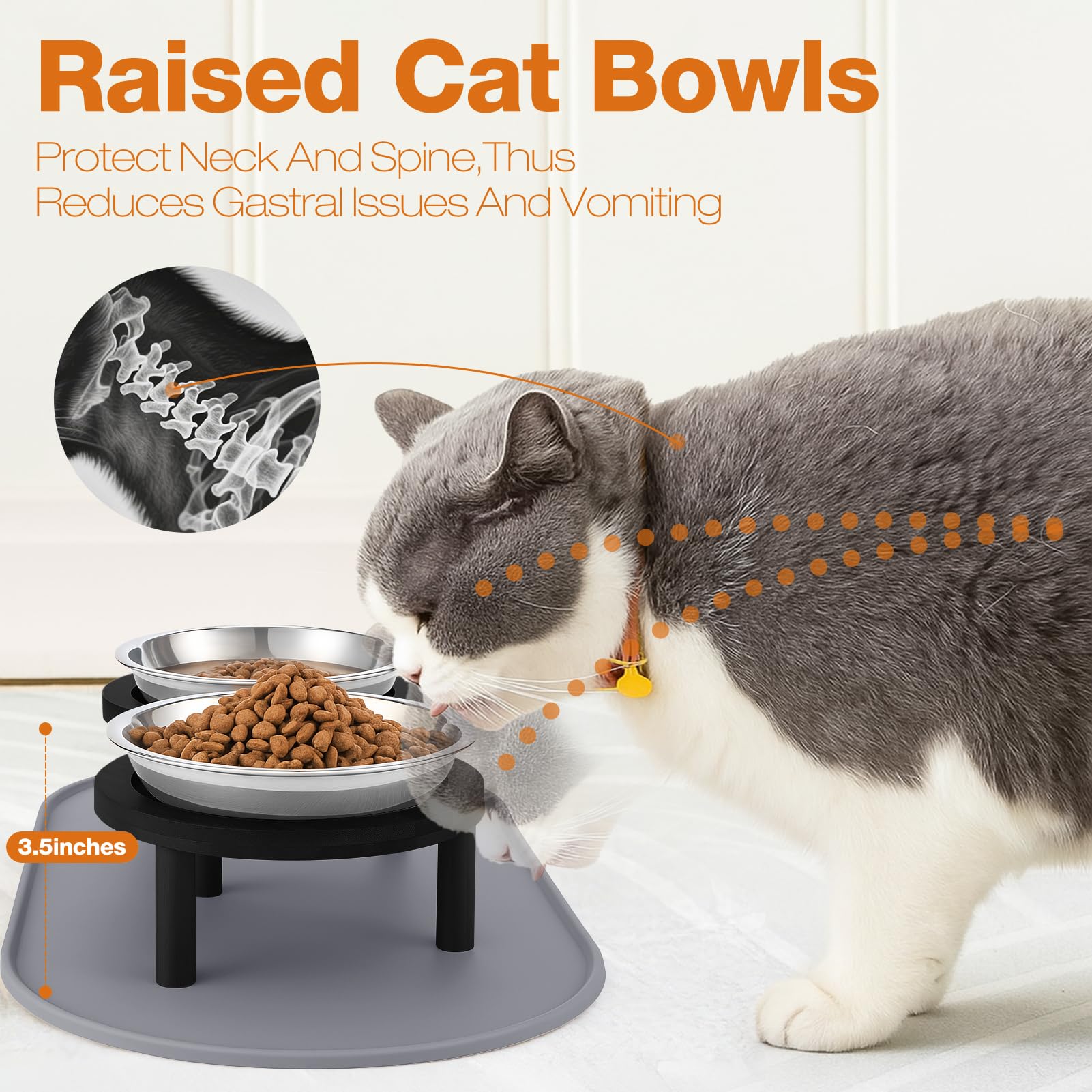 Summark two stainless-steel cat bowls designed for durability and easy cleaning.