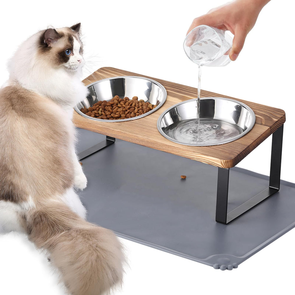Summark Upgraded Elevated Cat Bowls with 15-degree tilt for comfortable dining.