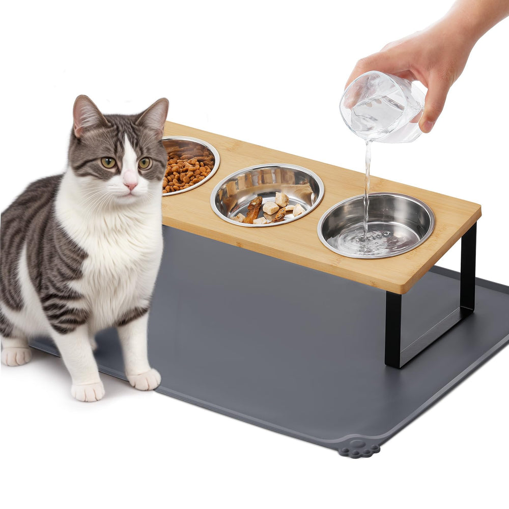 Summark upgraded elevated cat bowls with a 15° tilt for comfortable, whisker-friendly feeding.