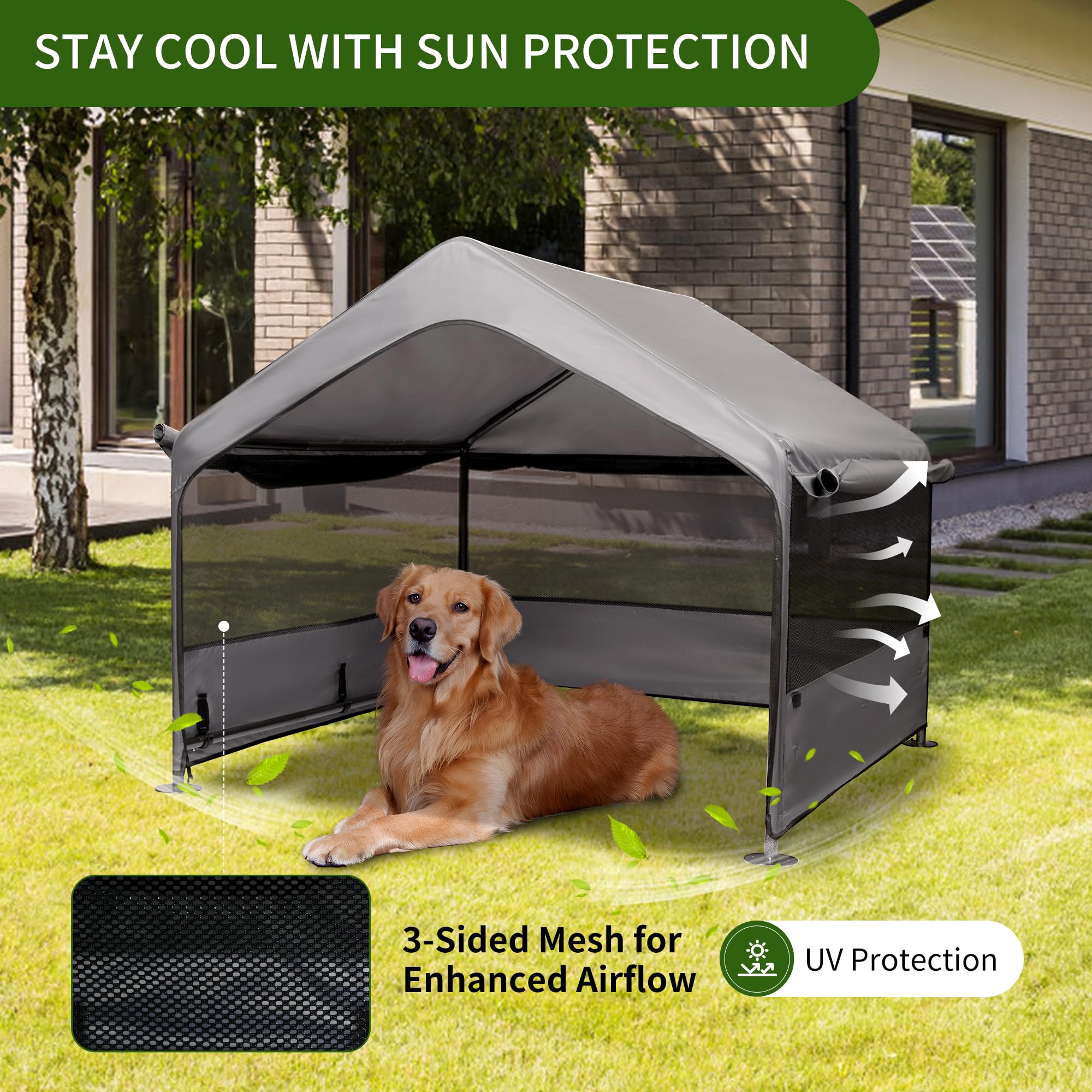 SUMMERTRAIL gray canopy shading a large dog outdoors