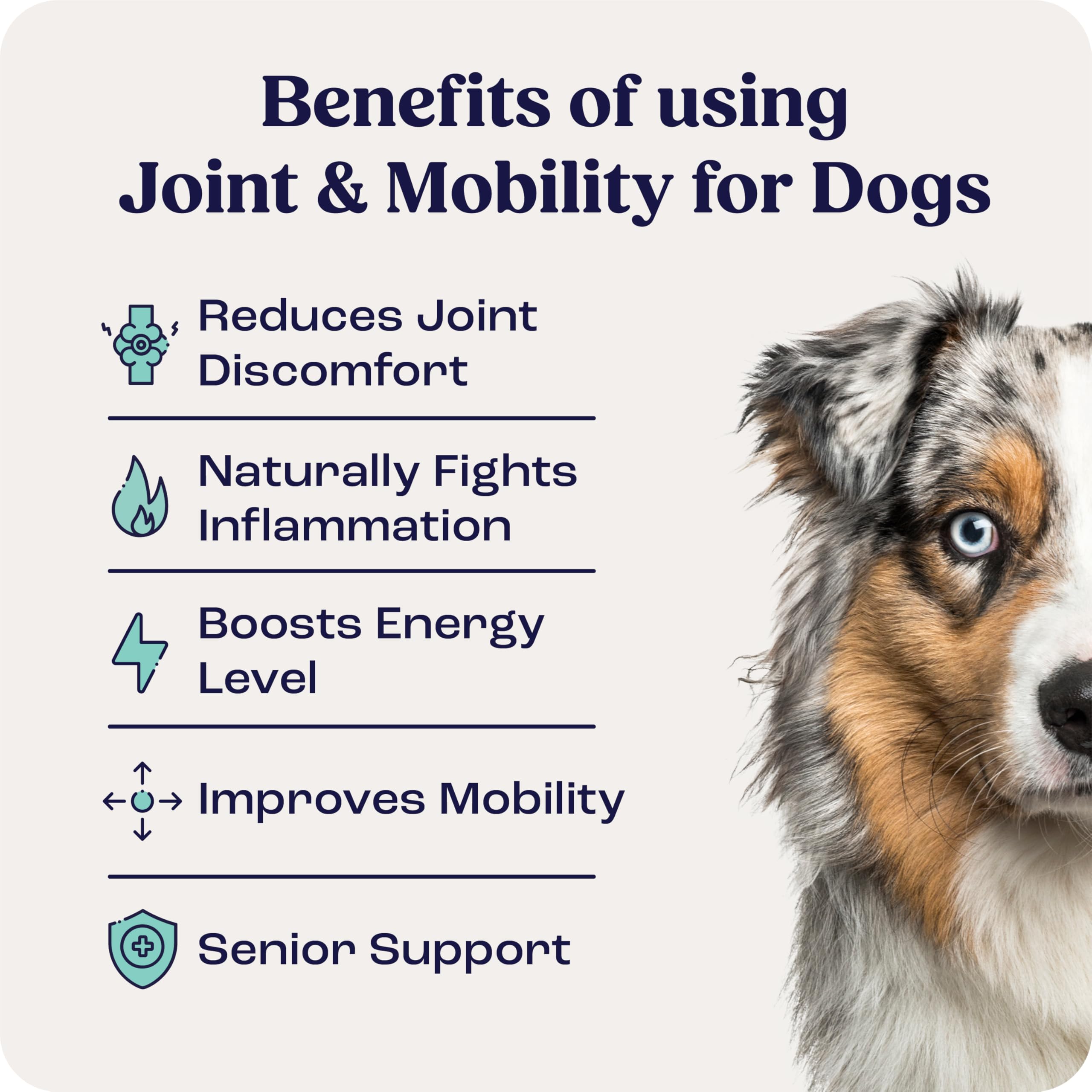 Summit Canine Joint bottle label highlights allergen-free, all-natural ingredients