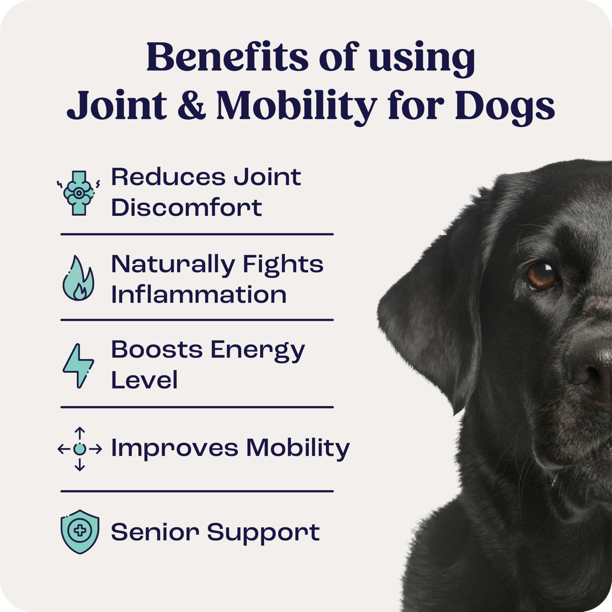 Summit Canine Liposomal Delivery visual highlights enhanced absorption for joints