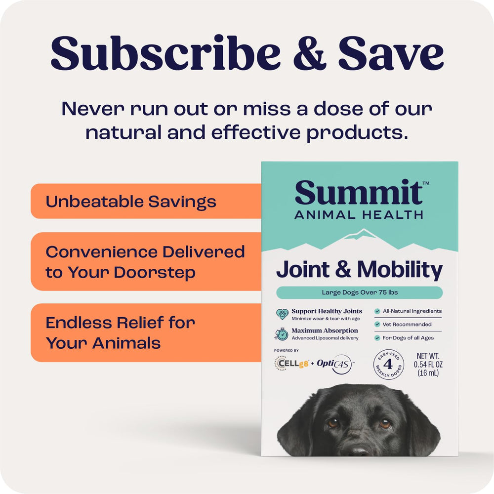 Summit Canine OptiC4S Chondroitin feature illustration
