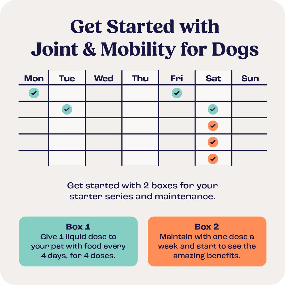 Summit Canine USA Made Quality underscores Florida manufacturing standards