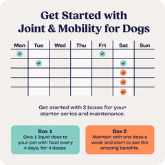 Summit Canine USA Made Quality underscores Florida manufacturing standards