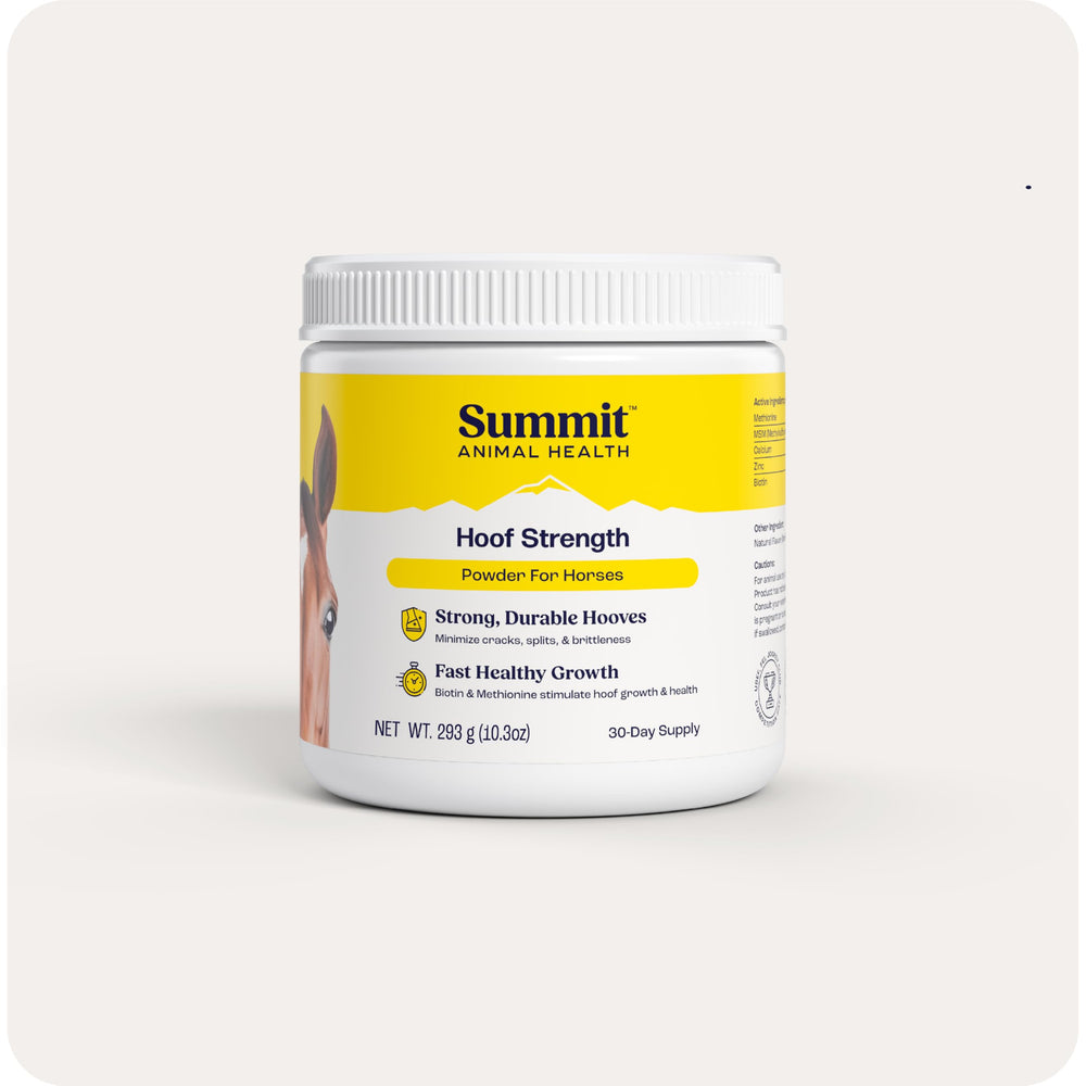 Summit Equine Hoof Strength Powder bottle closeup for stronger hoof health