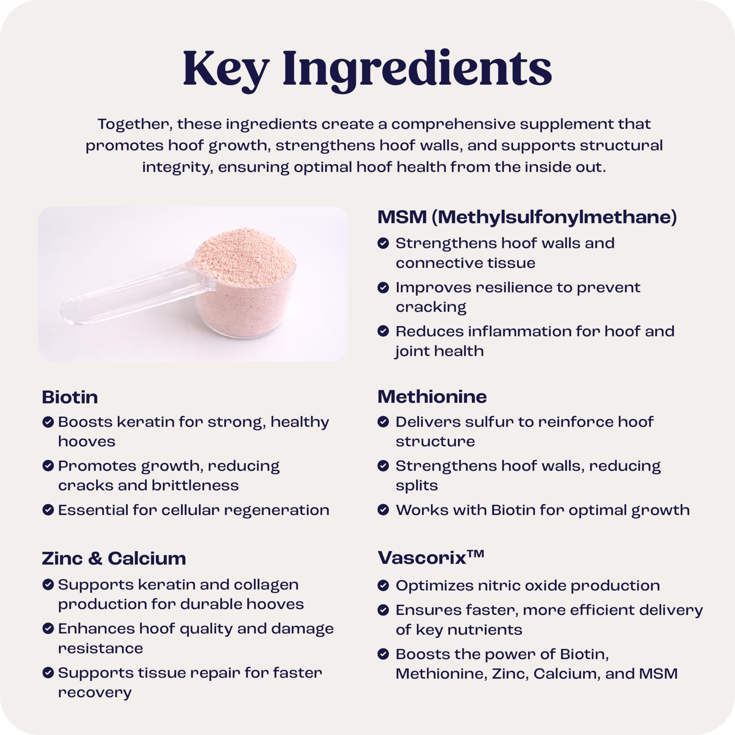 Summit Equine Hoof Strength Powder packaging highlighting premium hoof health ingredients