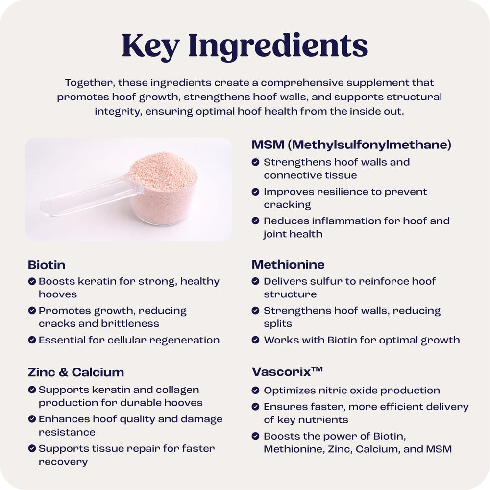 Summit Equine Hoof Strength Powder packaging highlighting premium hoof health ingredients
