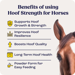 Summit Equine Hoof Strength Powder scoop measures daily hoof support