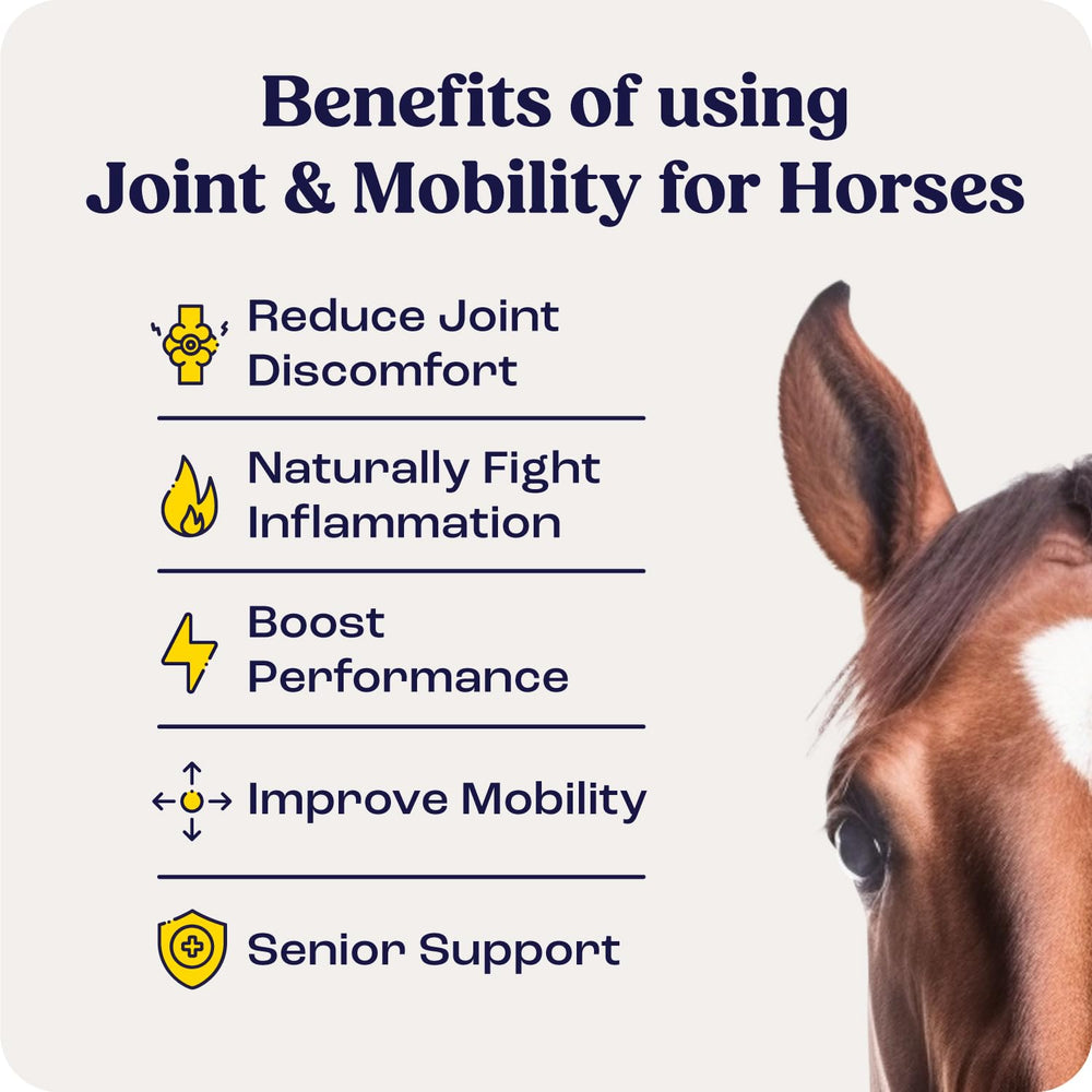 Close-up of Summit Equine Joint Bites chew for convenient administration.