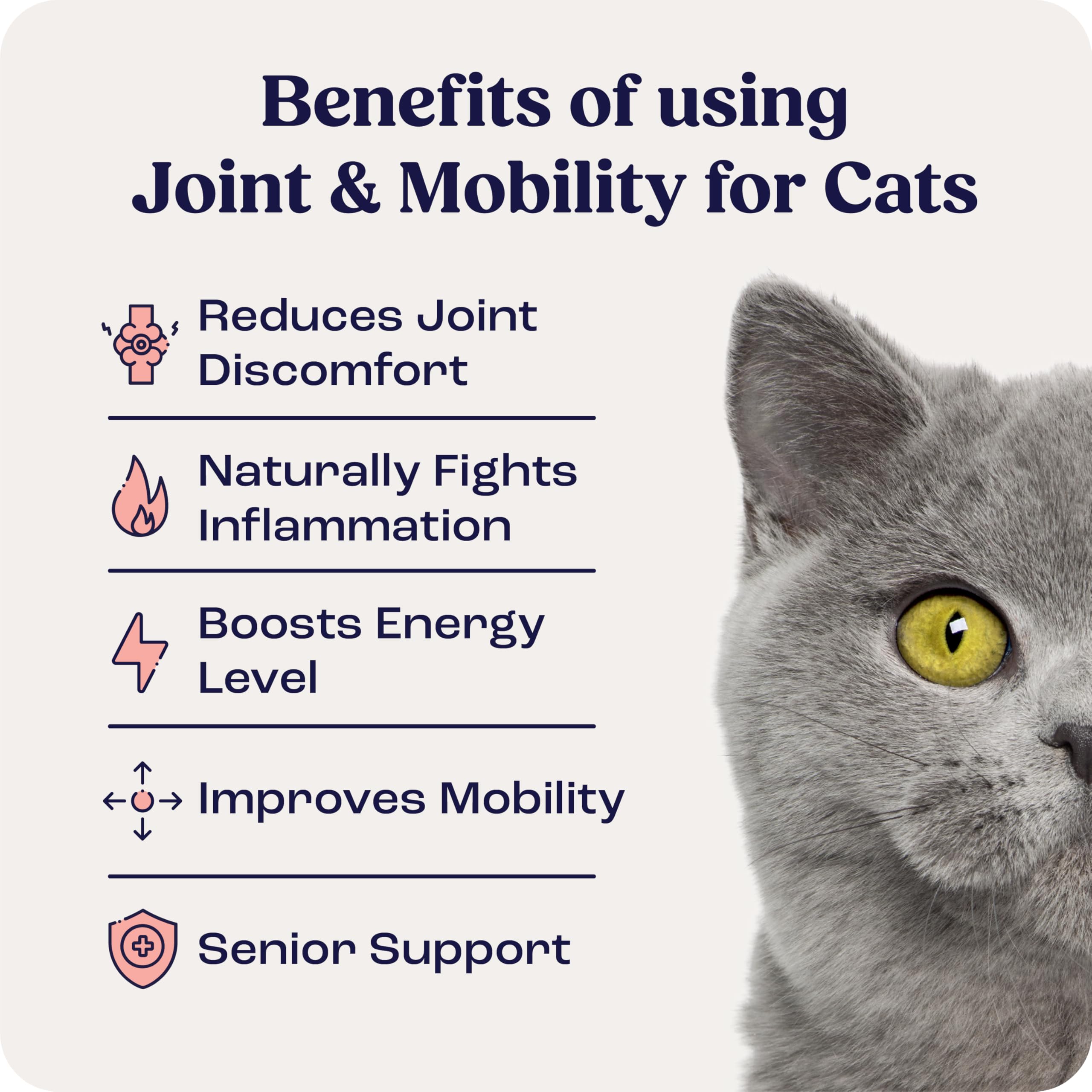 Summit Feline Joint Mobility capsules highlight a natural, drug-free option for daily activity.