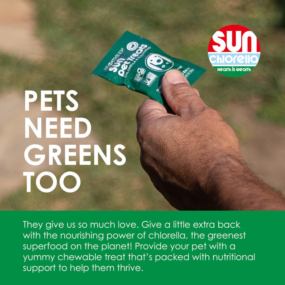 Close-up of Sun Pet Treats bites showing chewy texture.