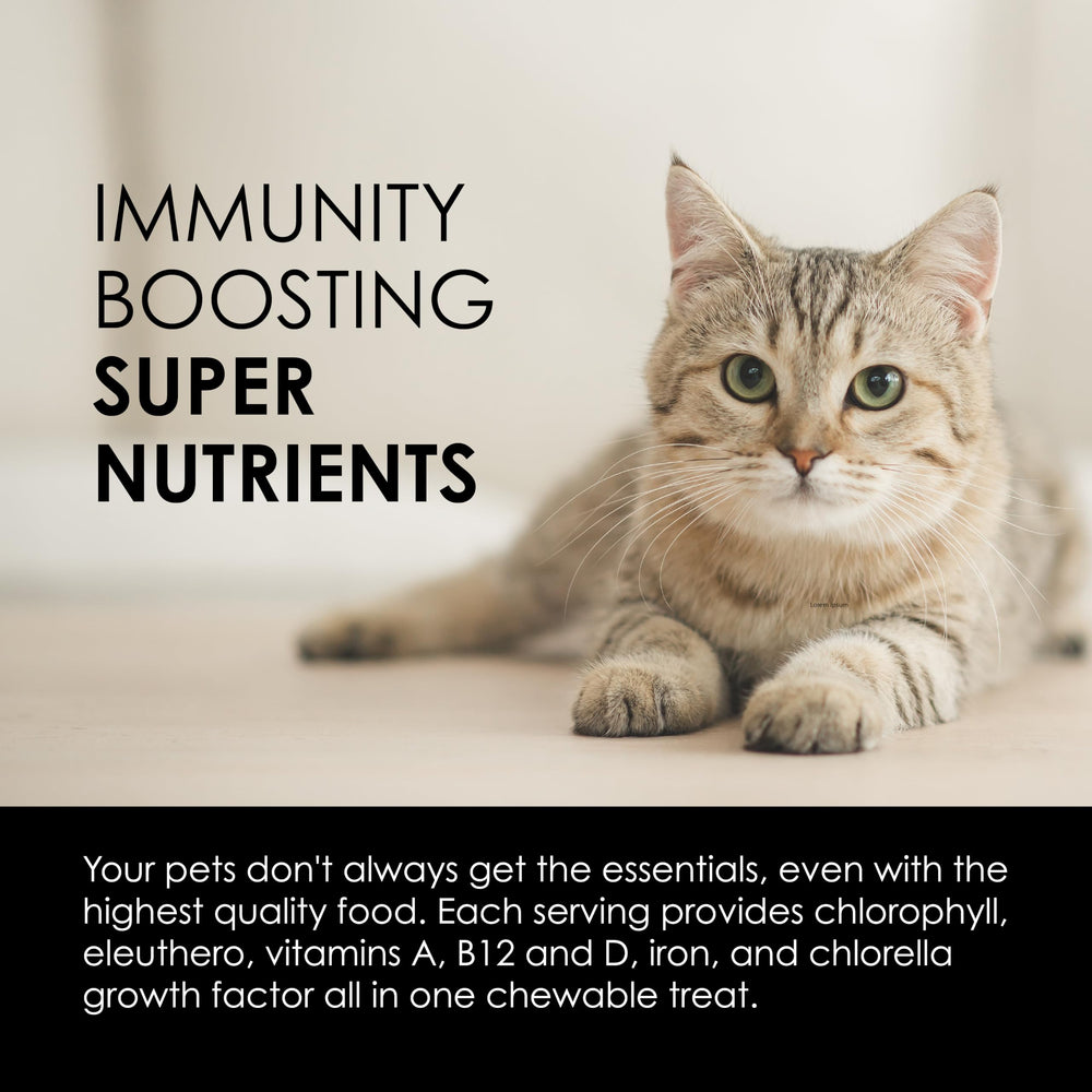 Sun Pet Treats may support fresh breath after daily use.