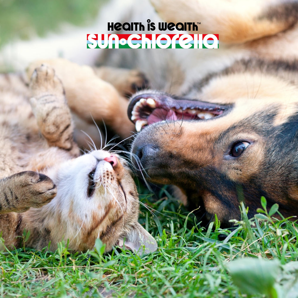Sun Pet Treats promote shiny coat and healthy skin.