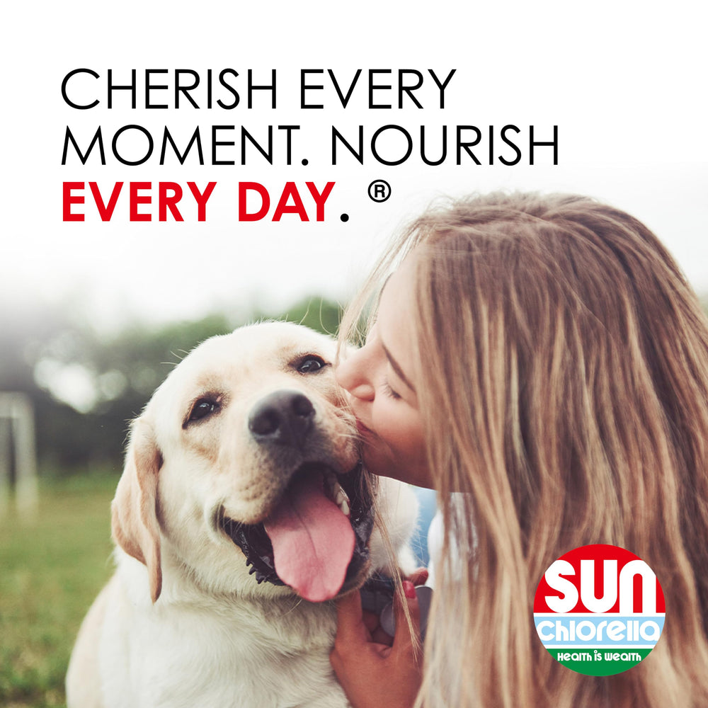 Sun Pet Treats ingredients panel showing chlorella and eleuthero.