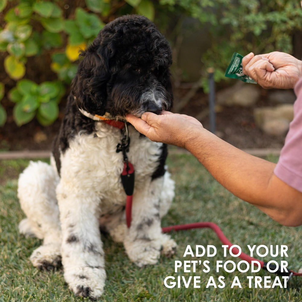 Bright packaging of Sun Chlorella Sun Pet Treats.