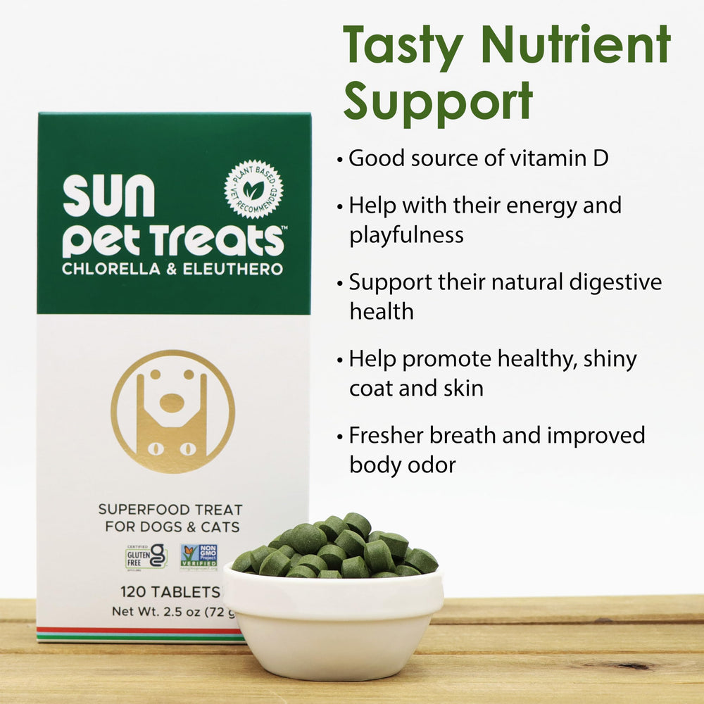 Dog and cat enjoying Sun Pet Treats together.