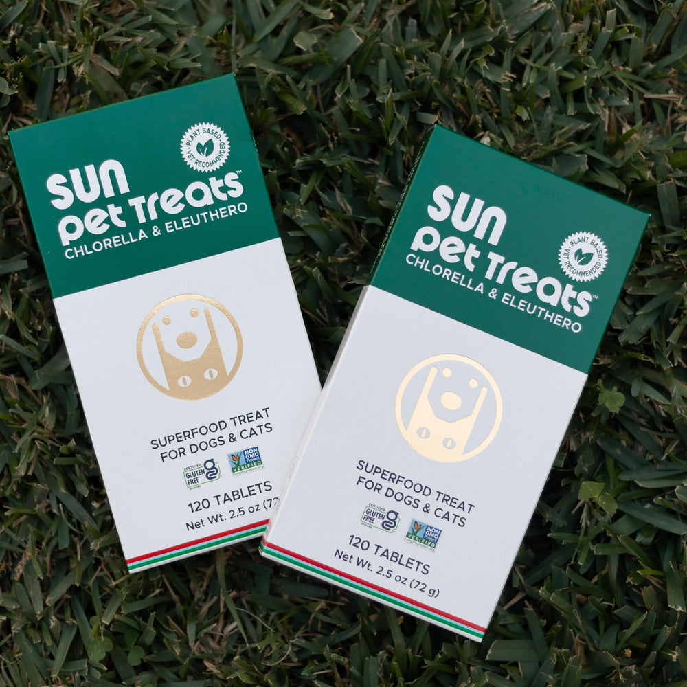Serving suggestion: Bite-sized Sun Pet Treats ready for daily diet.
