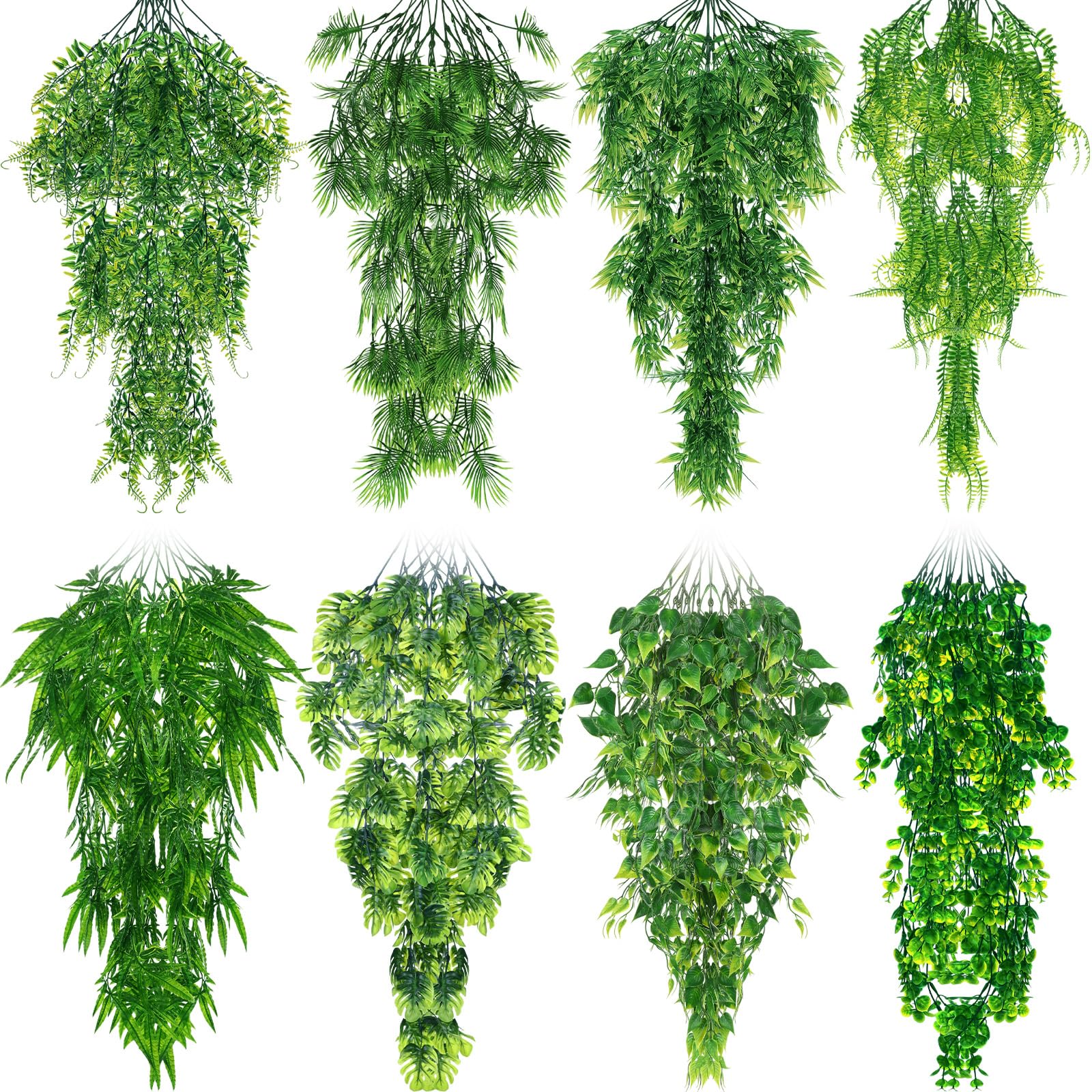 Suncalla 8-pack reptile plants assembled for a vibrant terrarium display