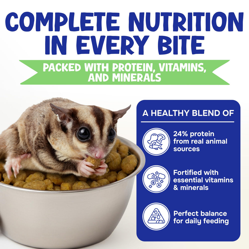 Suncoast Sugar Gliders pellet texture close-up highlights bite-sized nutrition for easy feeding