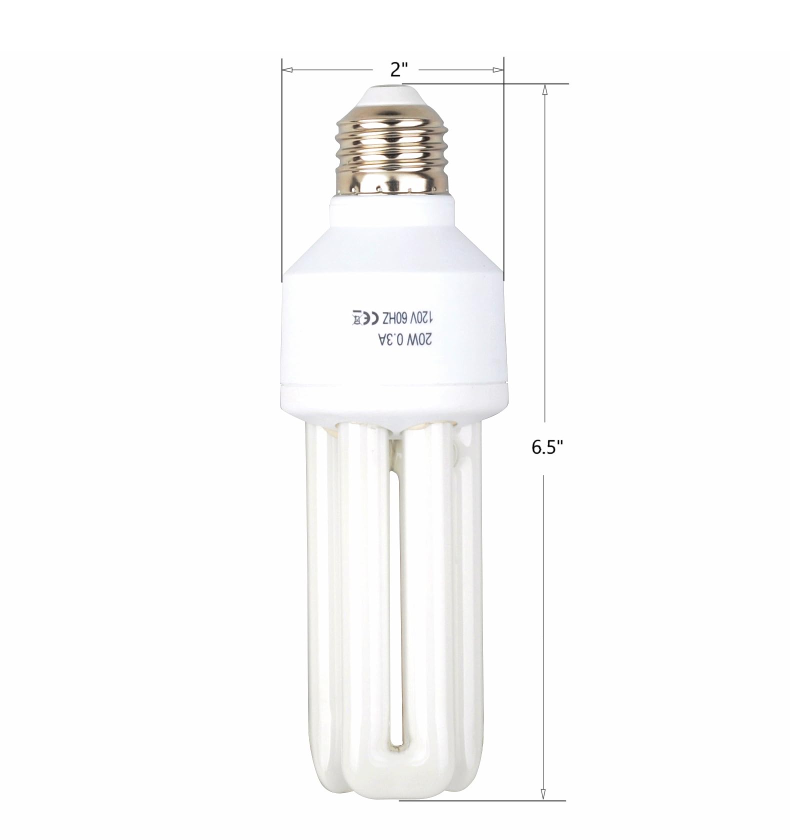 Sundew full spectrum UVB bulb highlights vibrant plumage in pet birds.