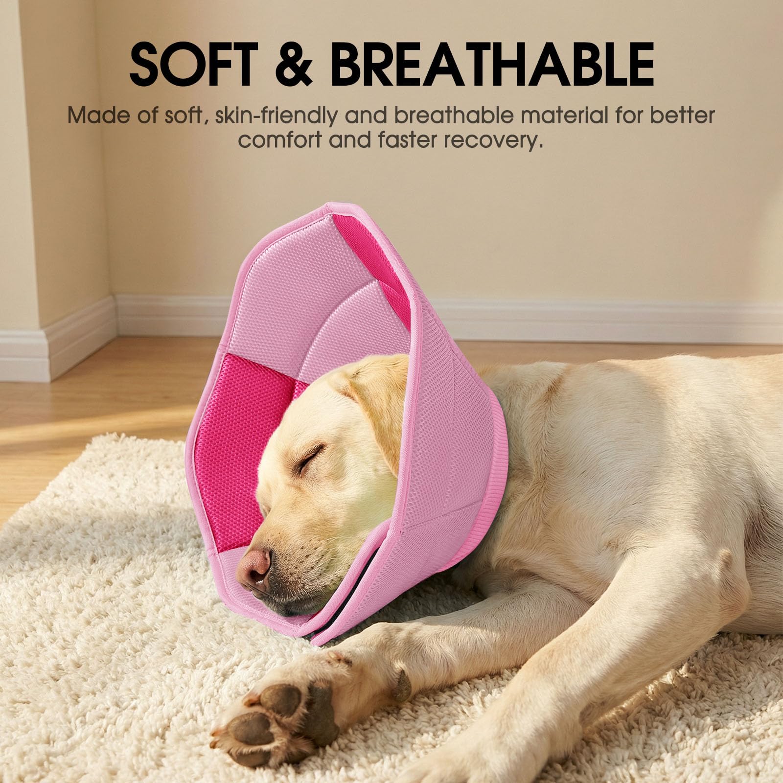 SUNFURA Suitable for many dog breeds and head sizes during recovery.