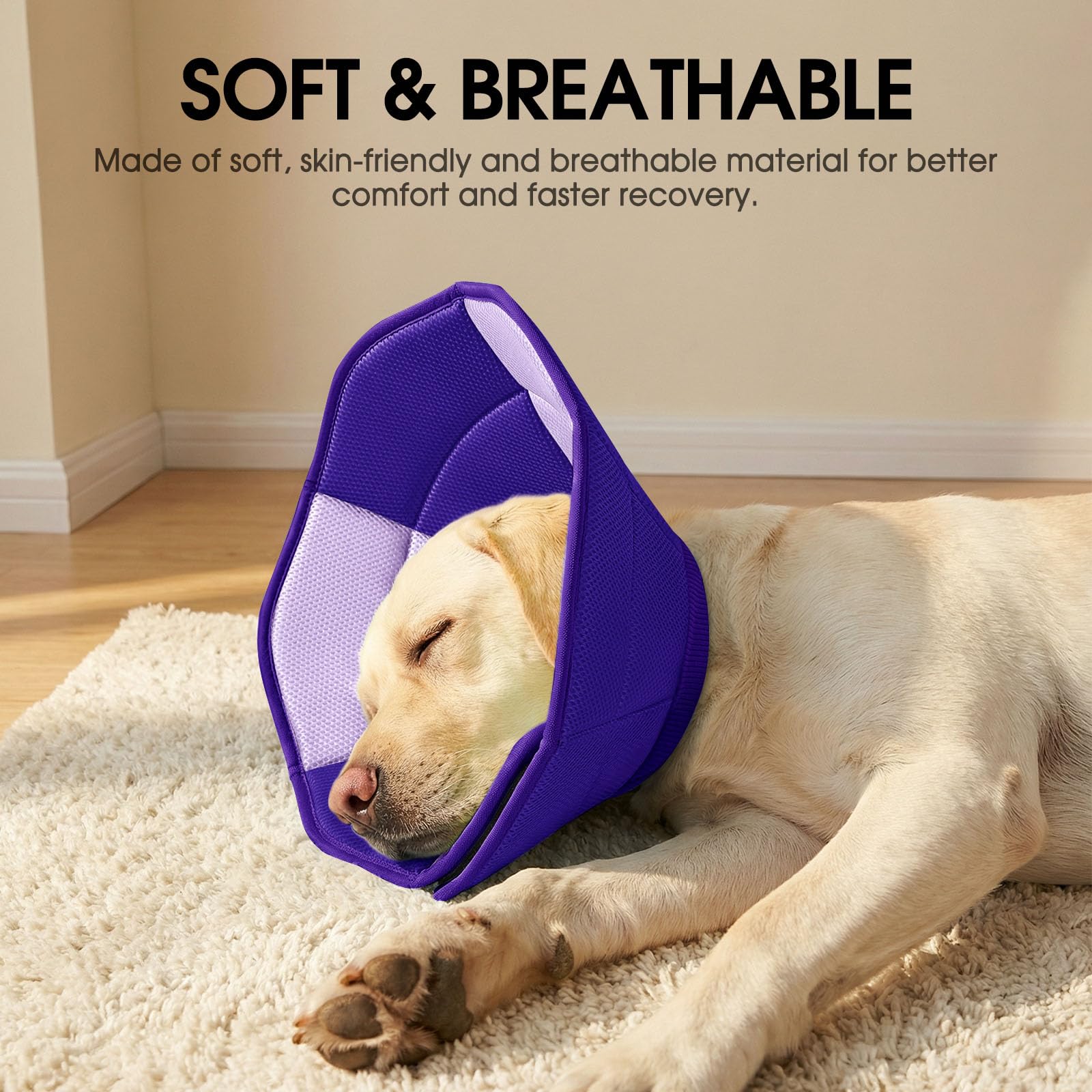 SUNFURA Light-weight, comfy cone supports pet mobility and rest