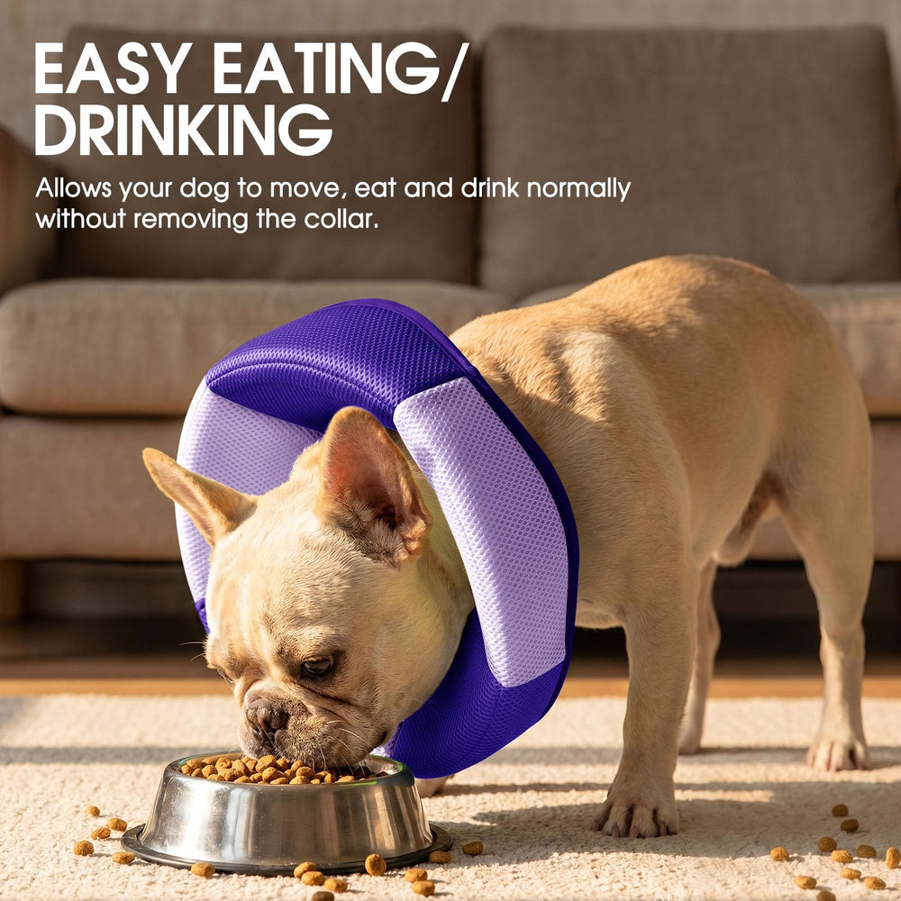 SUNFURA Dog Cone protects post-surgery wounds and discourages licking