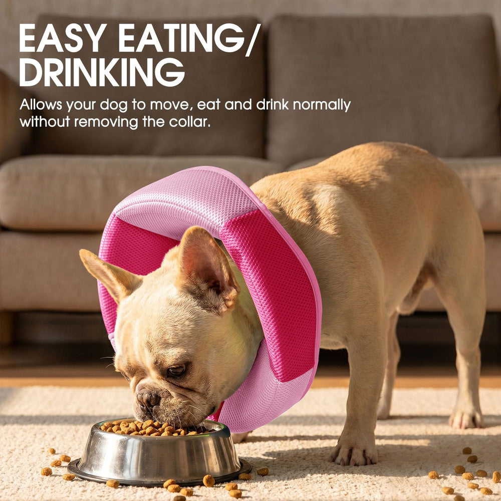 SUNFURA protective design helps prevent licking and minor injuries after surgery.