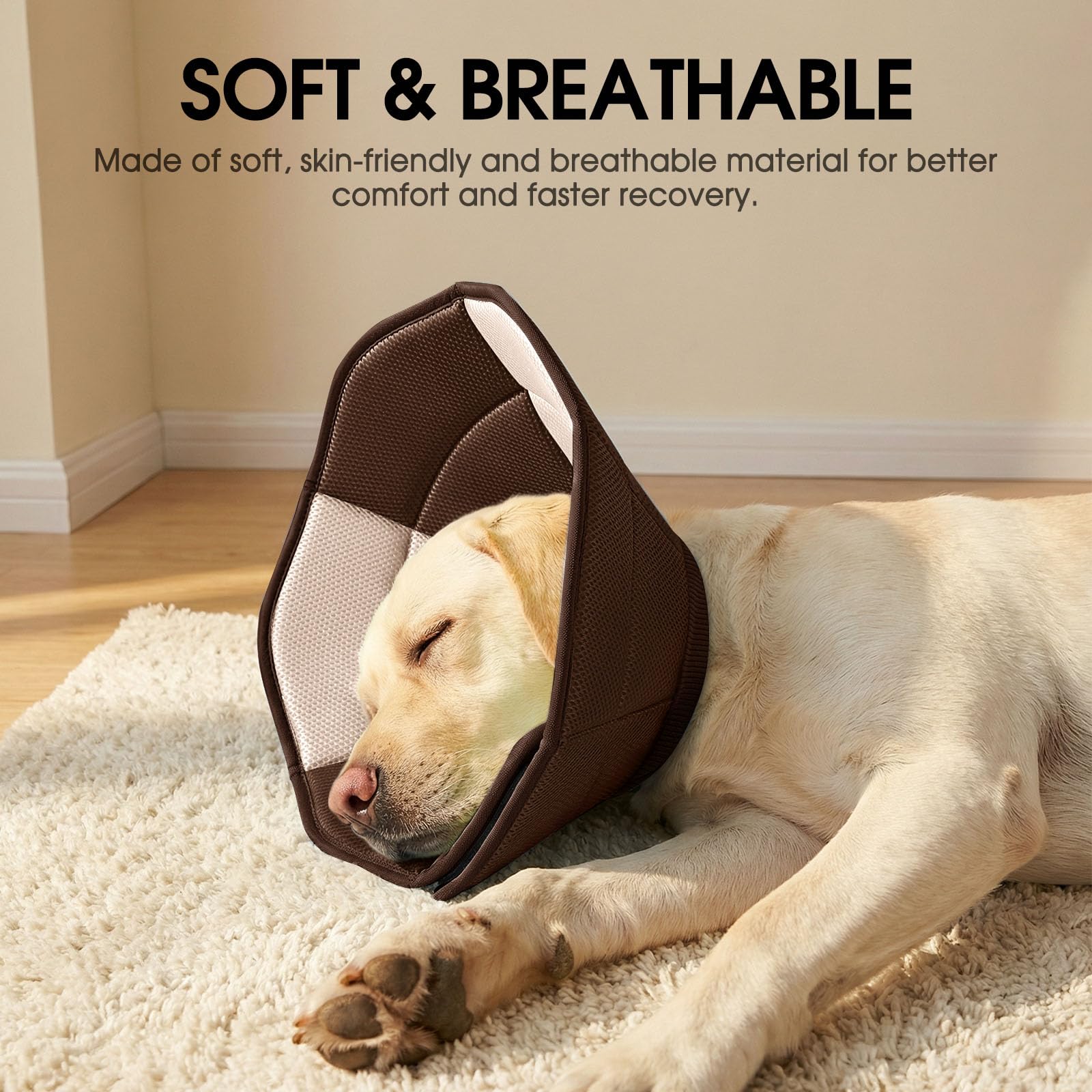 SUNFURA soft cone demonstrates easy-to-wear design for quick pet management