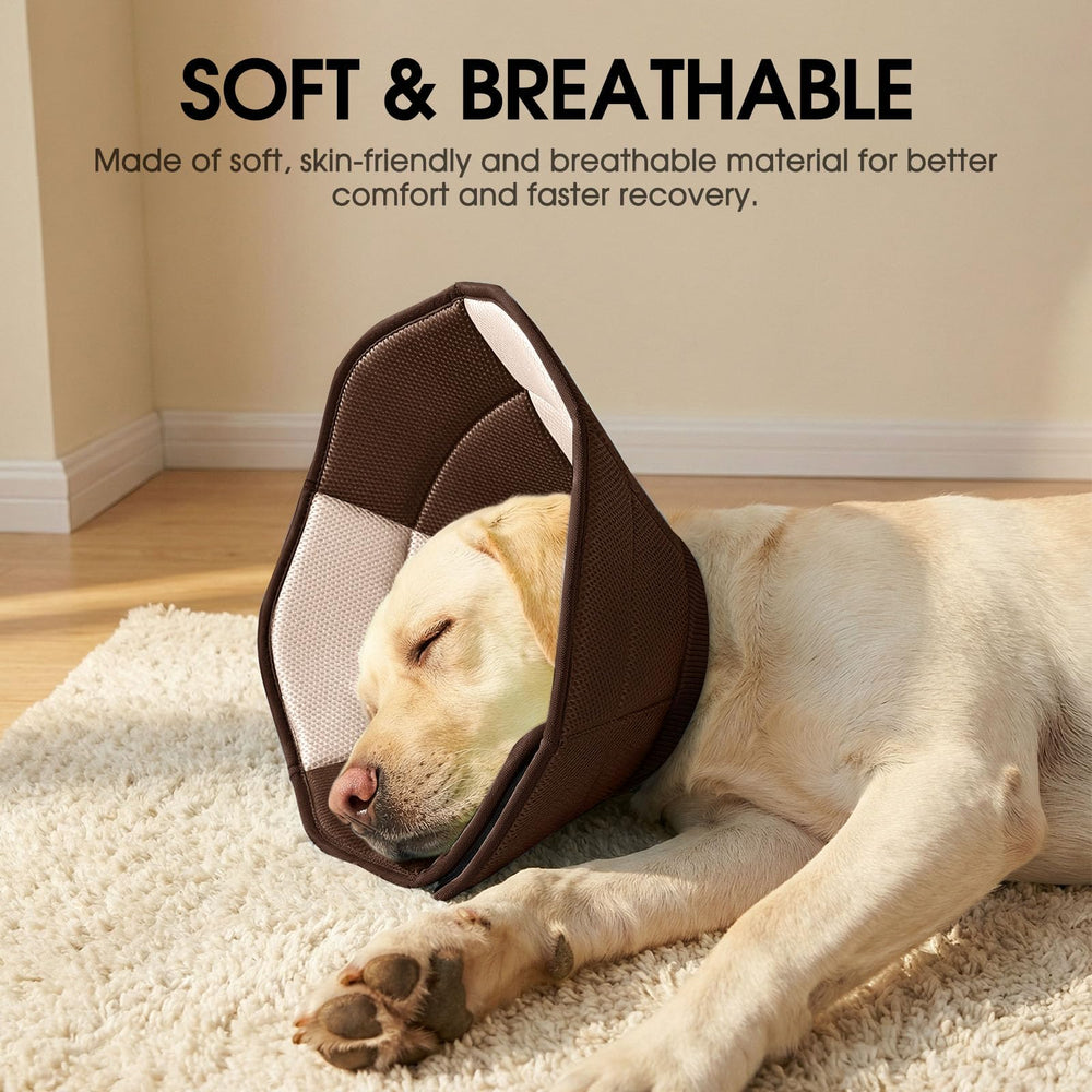 SUNFURA soft cone demonstrates easy-to-wear design for quick pet management