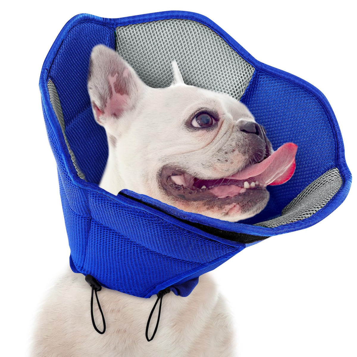 SUNFURA dog cone soft cone after surgery offers gentle protection during recovery.