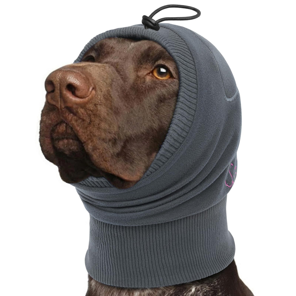 SUNFURA No Shake Ear Wrap on a dog providing calming storm relief