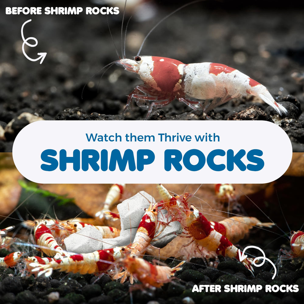 SunGrow Aquarium-decor-stone-display adds tasteful decor to a home tank.