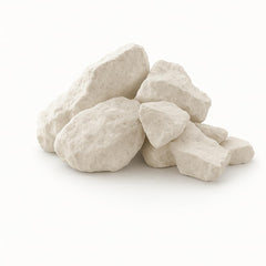 SunGrow Shrimp Rocks illustrate a natural habitat setup in the tank.