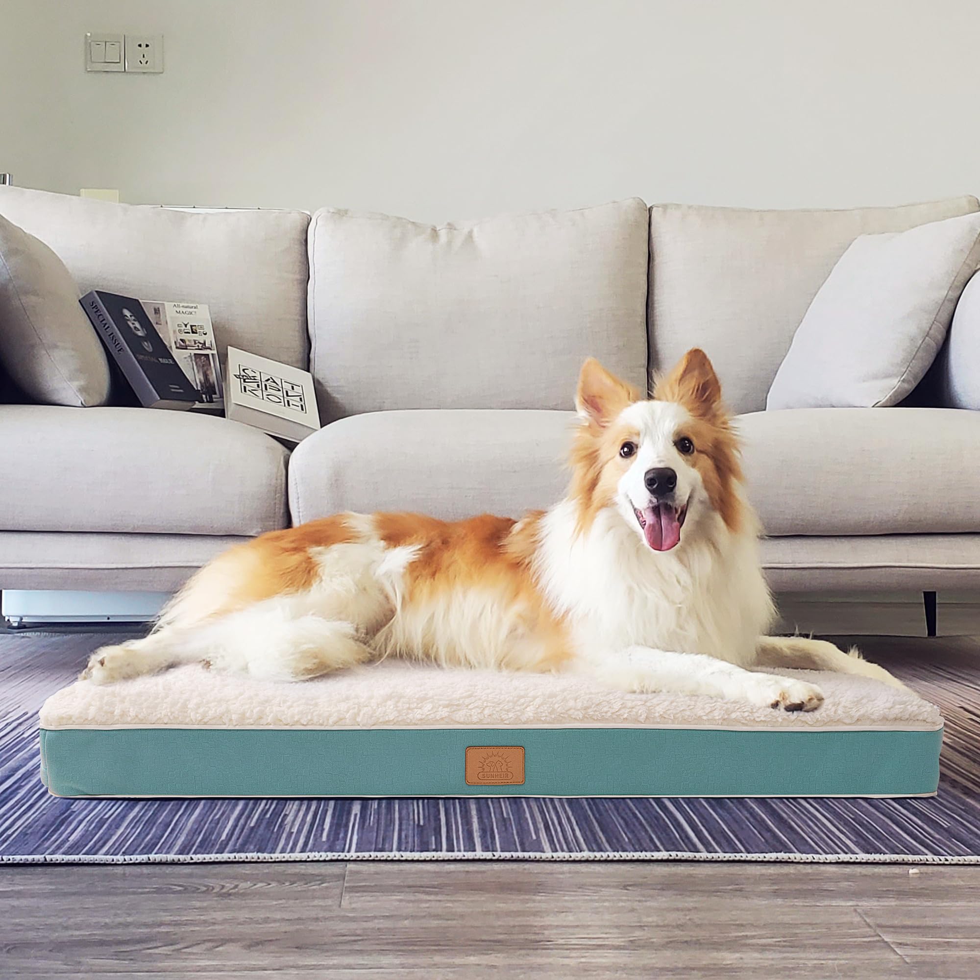 Sunheir blue dog bed inside crate shows spacious resting area